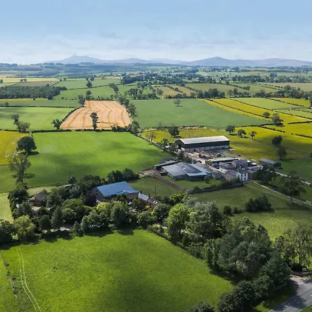 בית נופש Cedrus